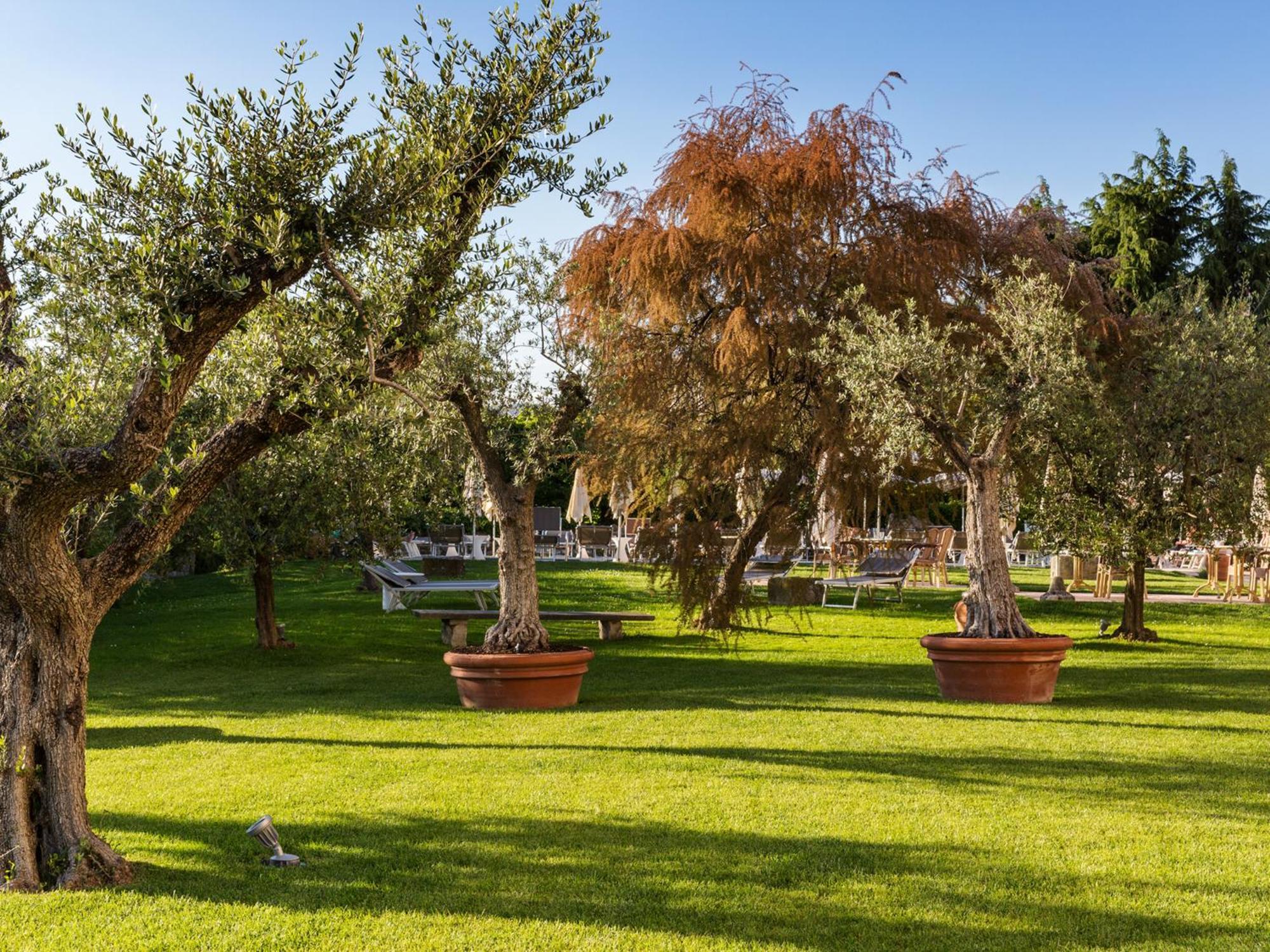 Hotel Ca' Mura Μπαρντολίνο Εξωτερικό φωτογραφία